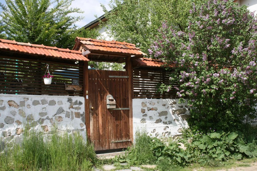 Guest House Kamenik Yagodina Exterior foto