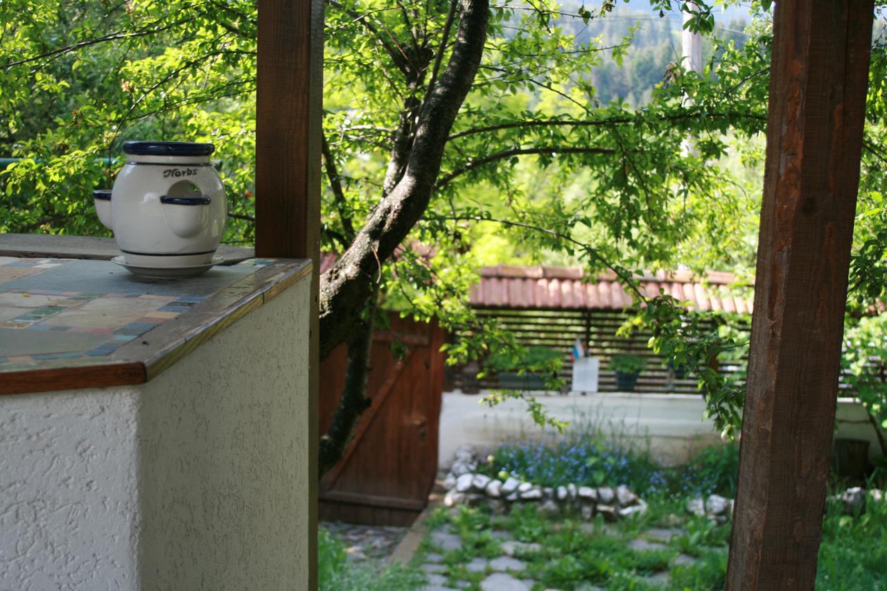 Guest House Kamenik Yagodina Exterior foto